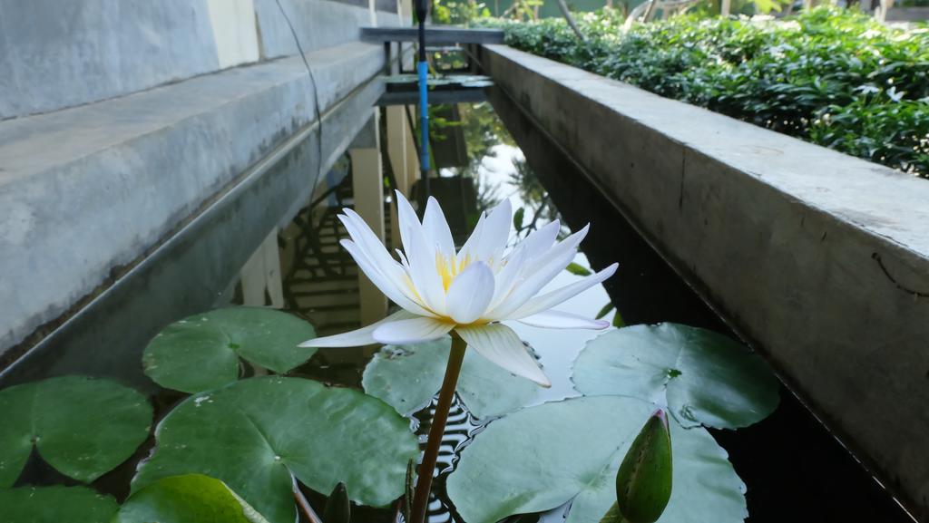 Lullaby Boutique Resort Thap Sakae Ngoại thất bức ảnh